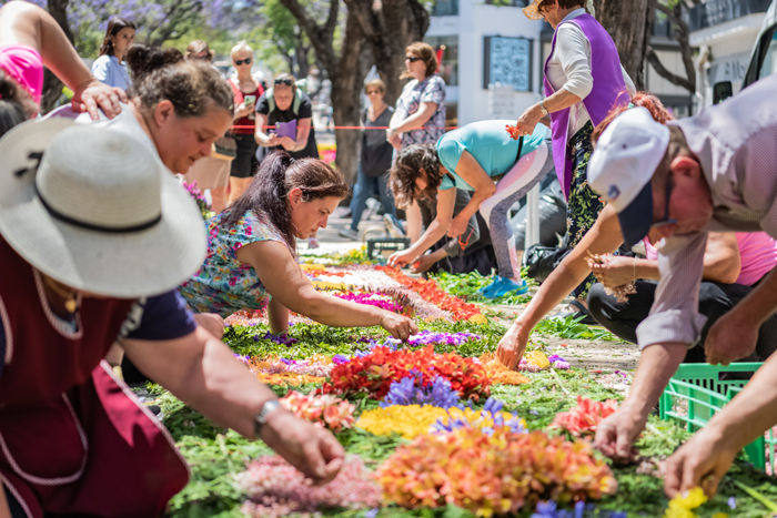 Festa da Flor Madeira