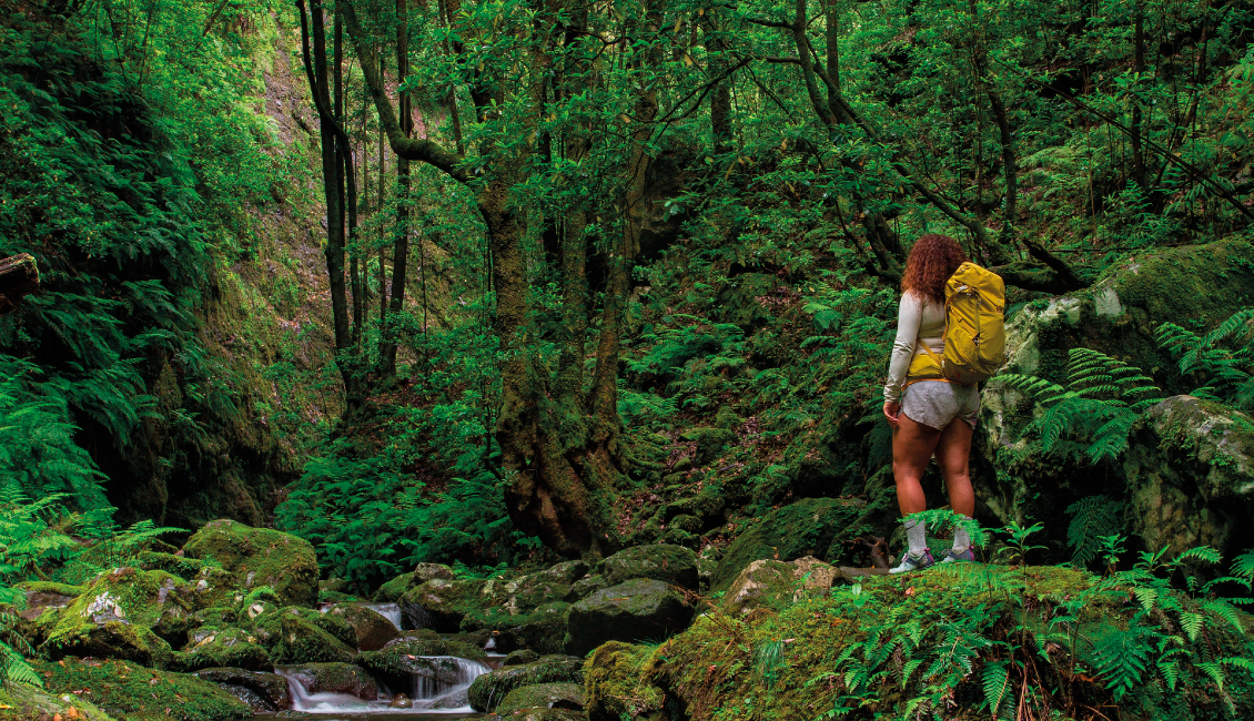 Festival da Natureza