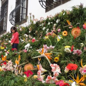 Muro da Esperança 2026