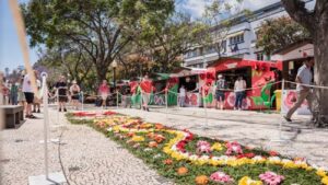 Muro da Solidariedade na Festa da Flor 2026