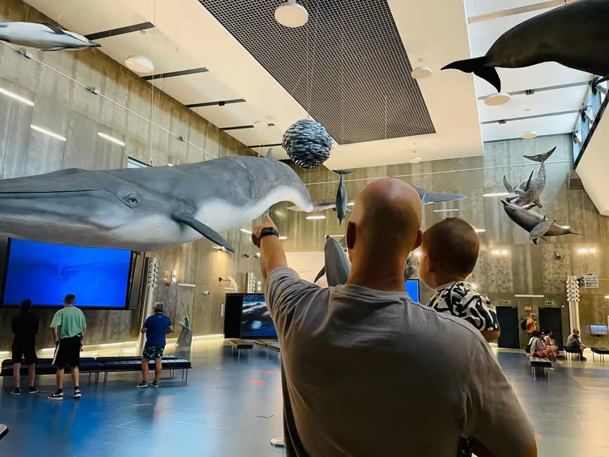 Museu da Baleia na Madeira