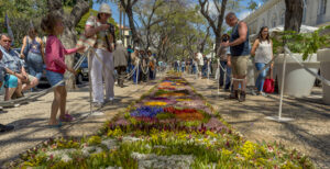 Tapetes Florais 2026