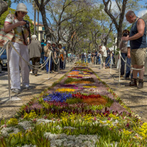 Tapetes Florais 2026