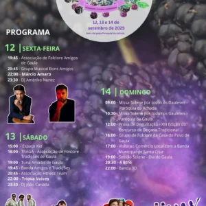 XII Festa da Amora 2025 em Gaula
