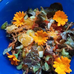 Workshop Culinária: Primavera Vegan | Menu Subtil