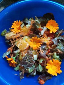 Workshop de Culinária: Primavera Vegan