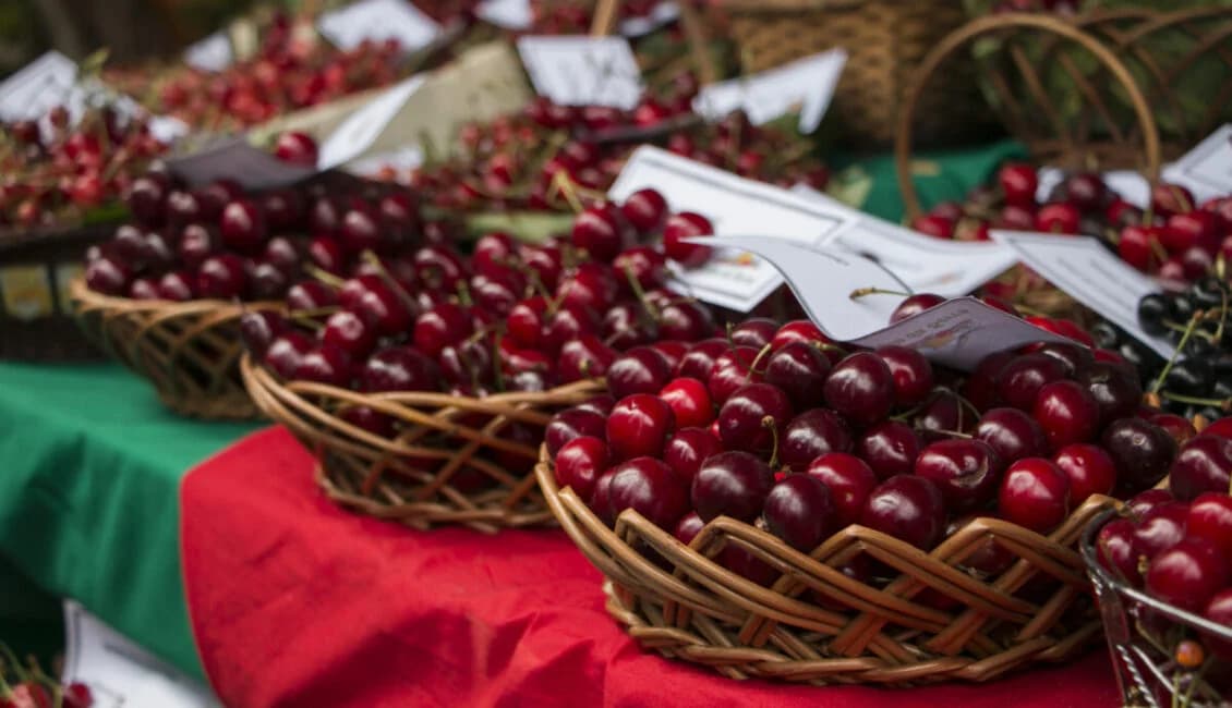 Festa da Cereja 2026