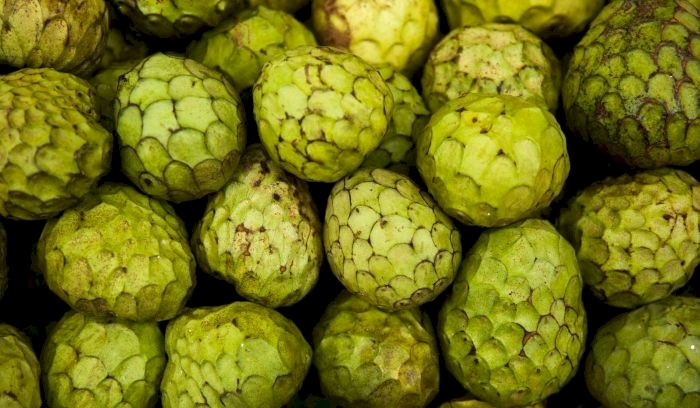 Exposição Regional da Anona | Faial