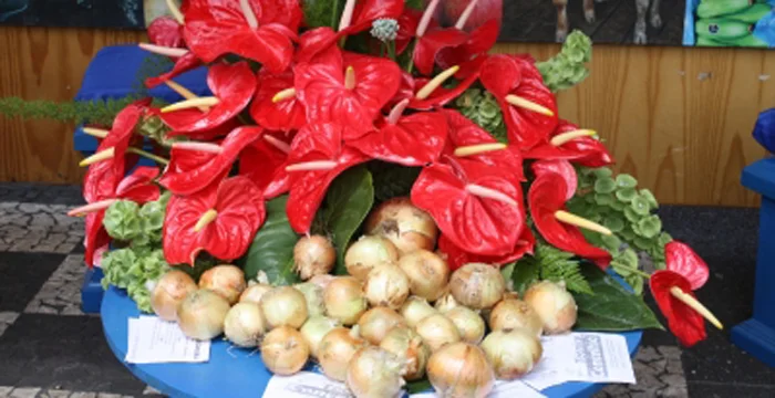 Festa da Cebola no Caniço