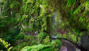 Festival da Natureza Madeira 2026