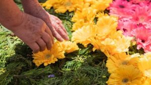 Oficinas da Flor levam sabores e experiências únicas à Festa da Flor