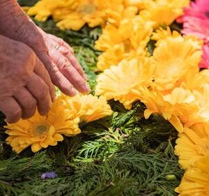 Oficinas da Flor levam sabores e experiências únicas à Festa da Flor