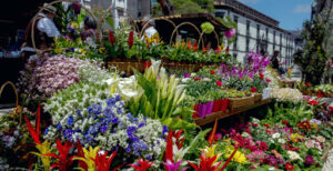 Mercadinho das Flores e Sabores Regionais anima a Festa da Flor da Madeira 2026
