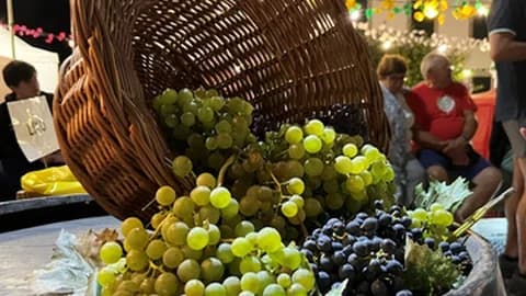 Festa da Uva e do Agricultor